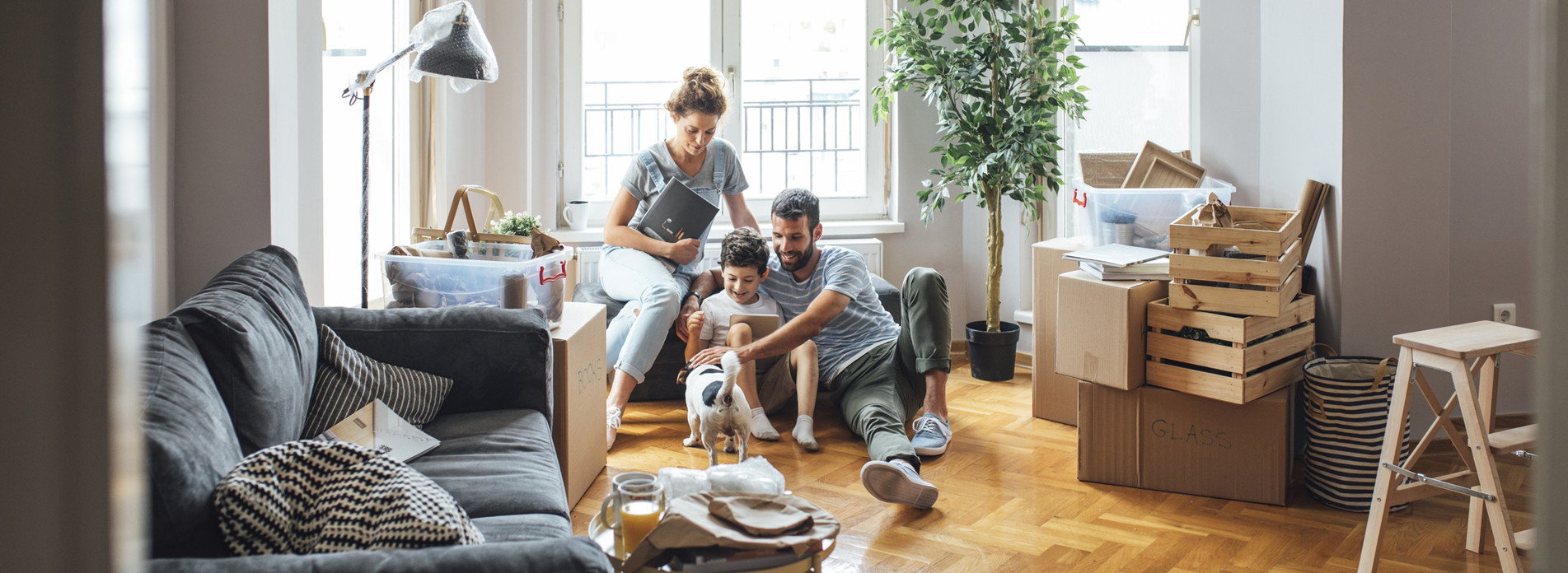 Castelain à Touques, membre du réseau expert Vachette